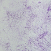 Jersey Thorsten Berger Breeze Kombi weiß lila - Stoffmeisterei