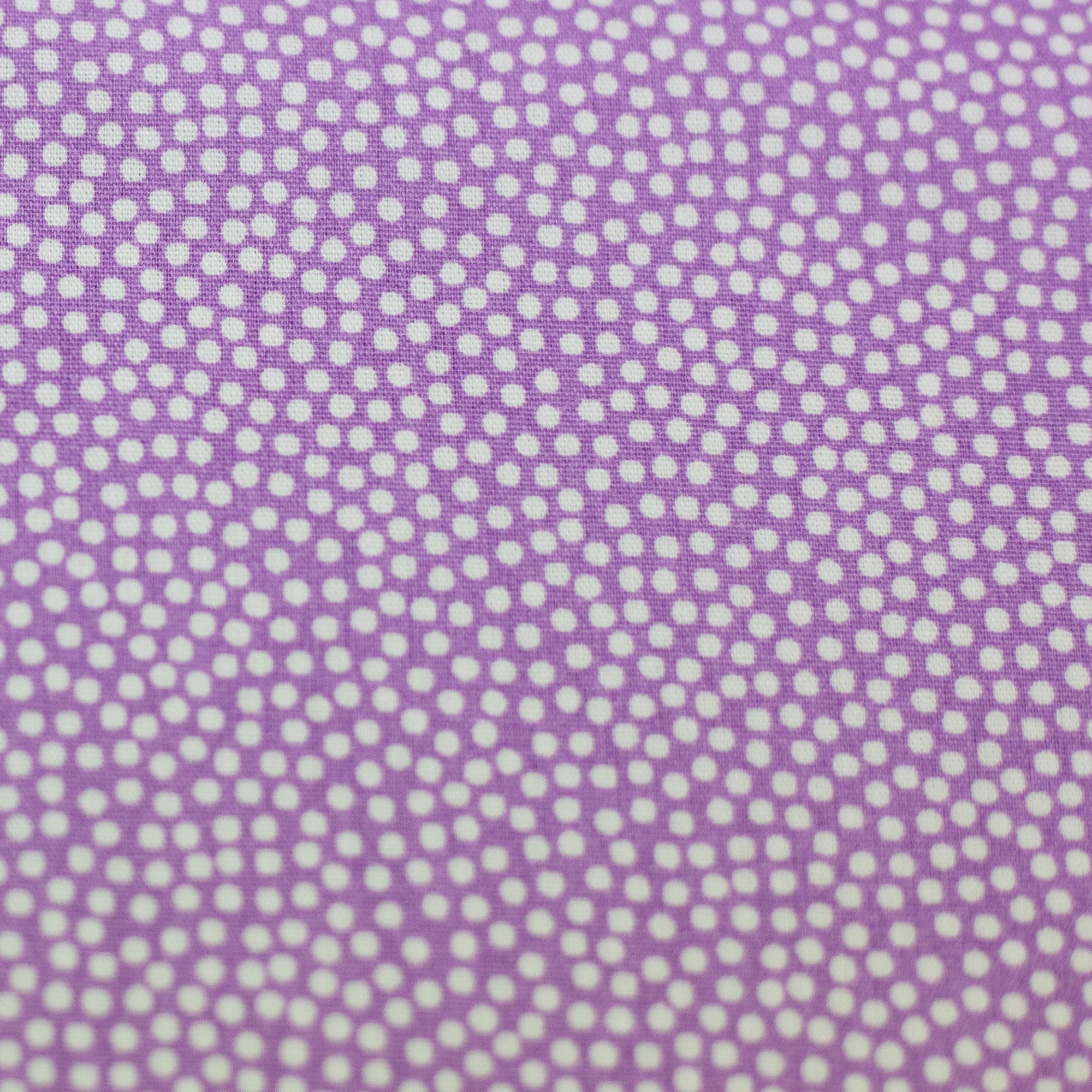 Baumwolle weiß auf lila gepunktet