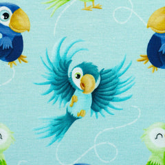 Jersey Papagei hellblau