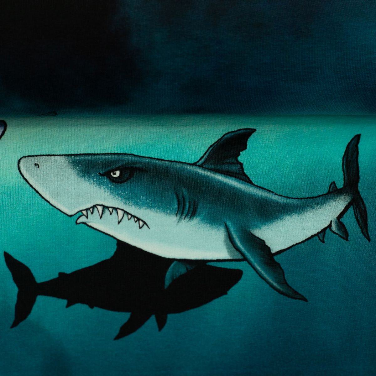 Thorsten Berger Salty Panel French Terry Shark Tank klein