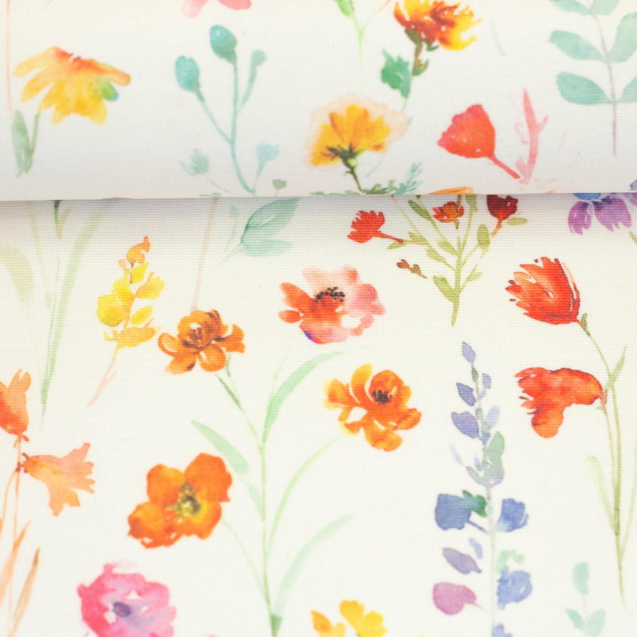 beschichtete Webware Canvas Alsfeld Blumenwiese bunt