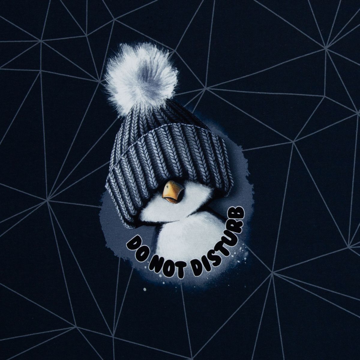 Thorsten Berger Sweat Panel On the Rocks Pinguin