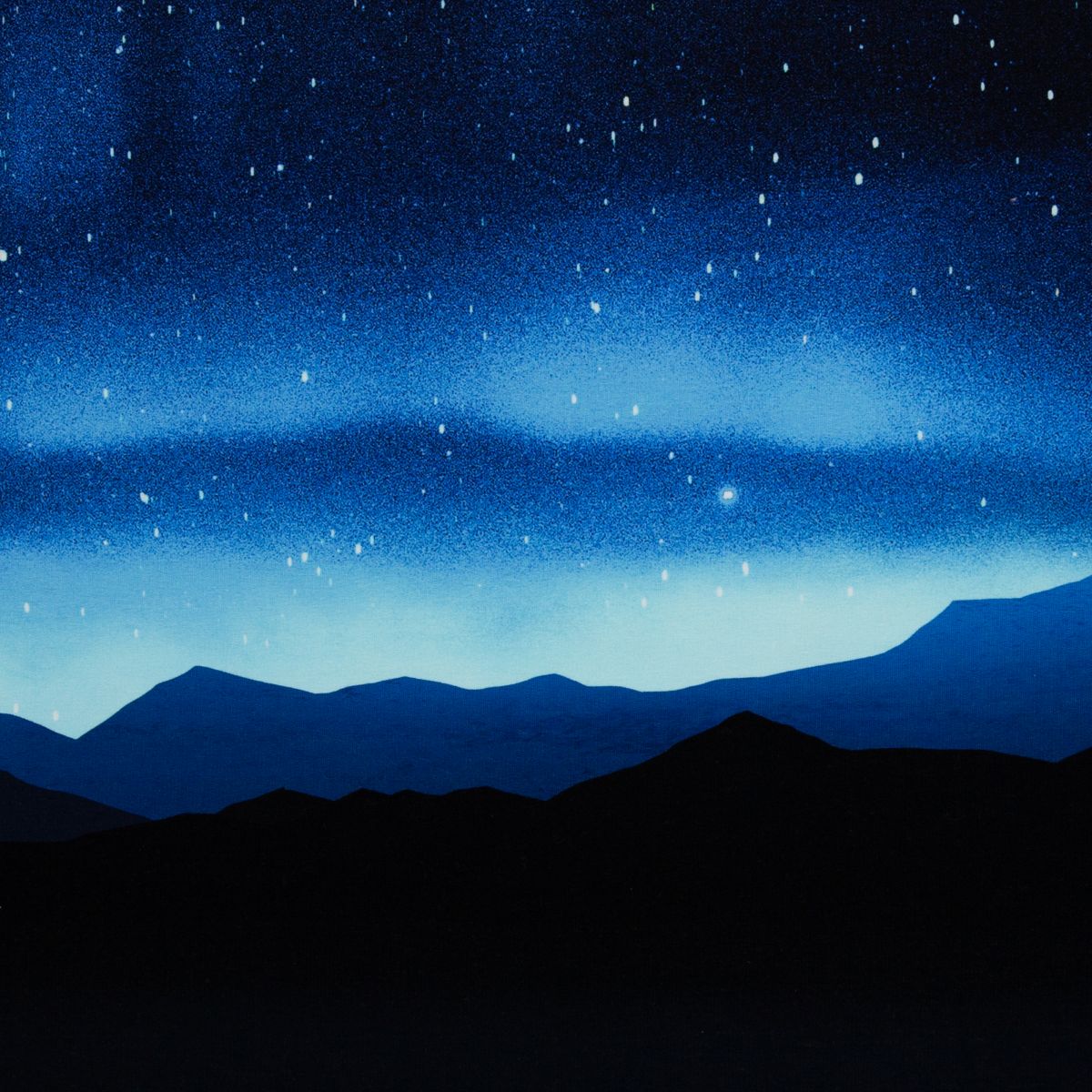 Thorsten Berger Sweat Panel On the Rocks Sternenhimmel