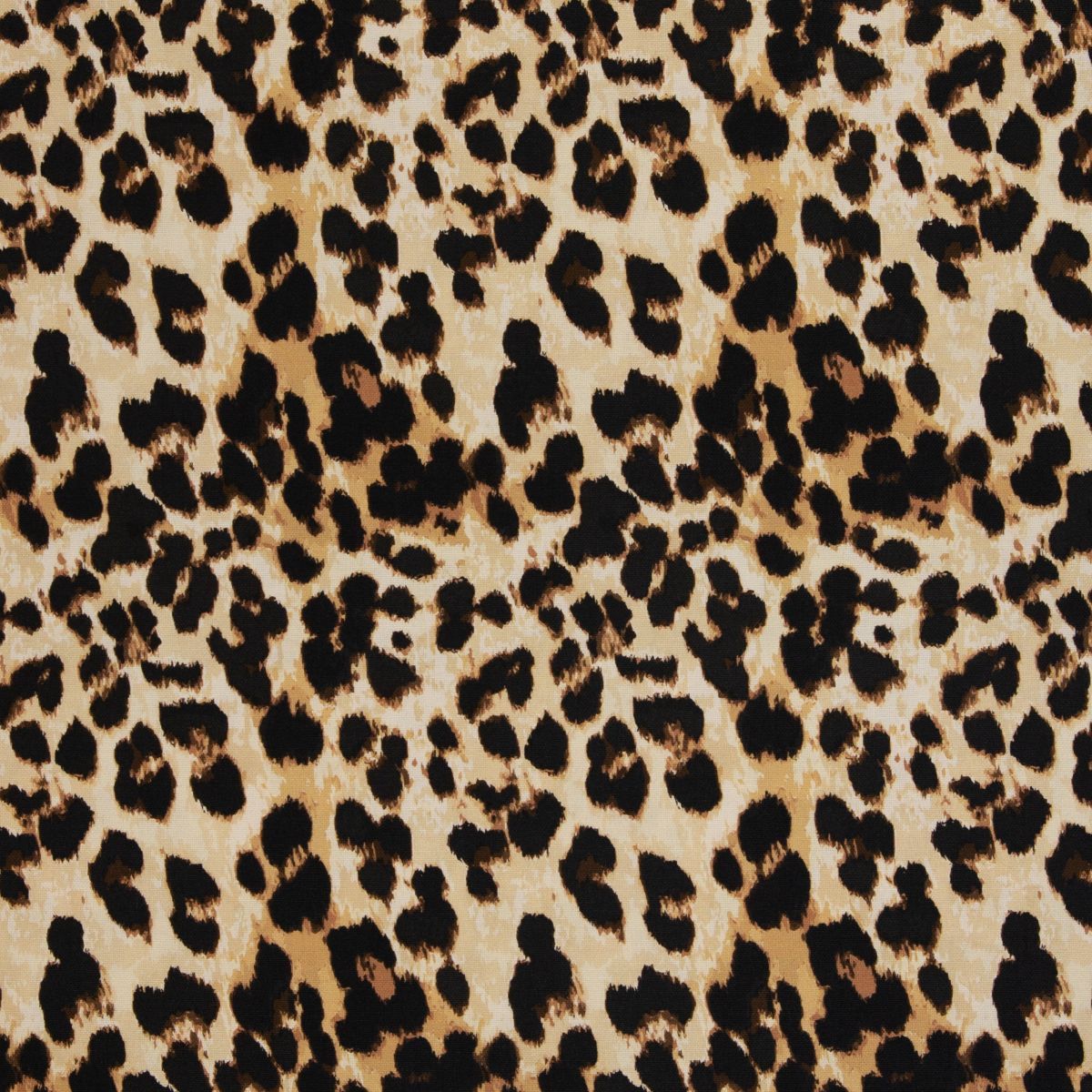 Canvas Leo Doha Swafing