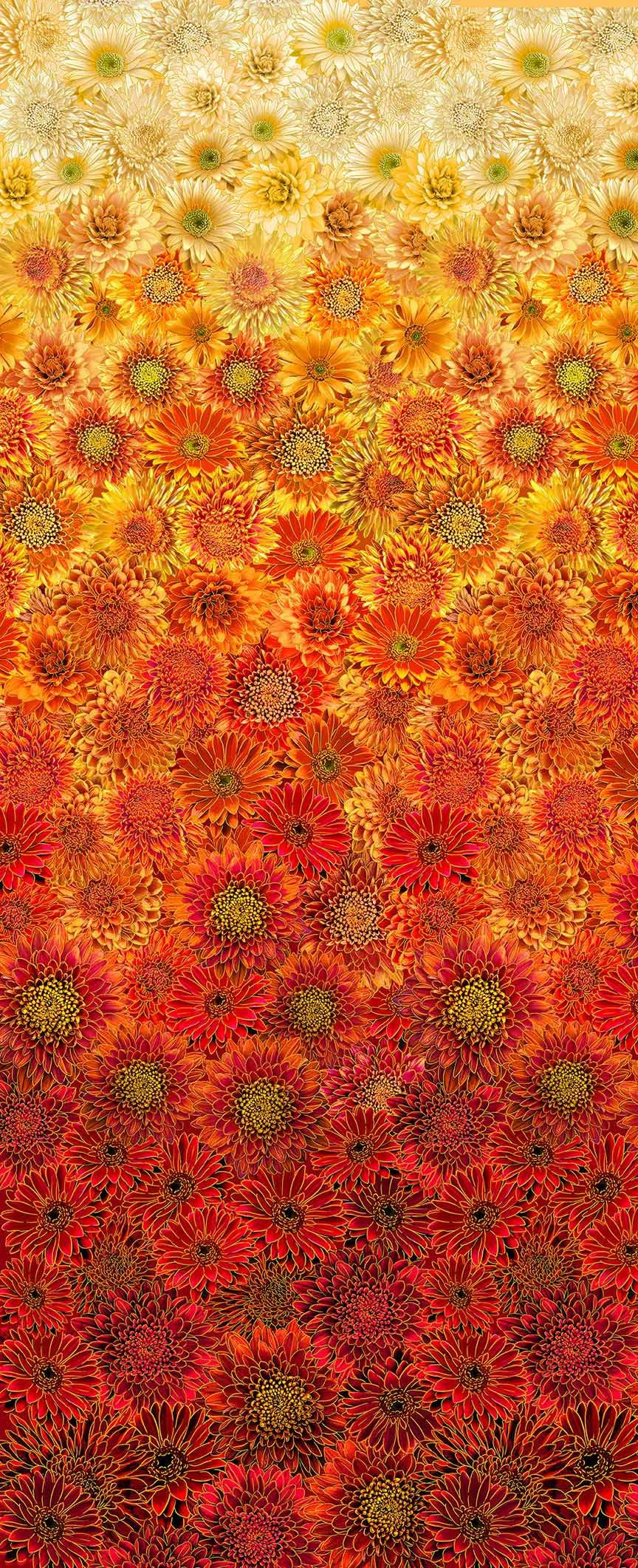 Timeless Treasures Autumn Harvest Ombre Metallic Mums continuous  Panel