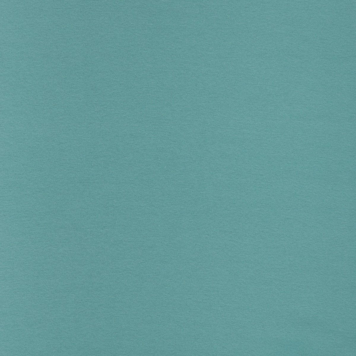 Baumwolljersey vanessa - mint - Stoffmeisterei
