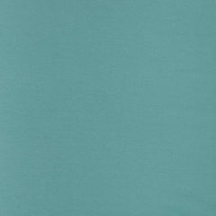 Baumwolljersey vanessa - mint - Stoffmeisterei