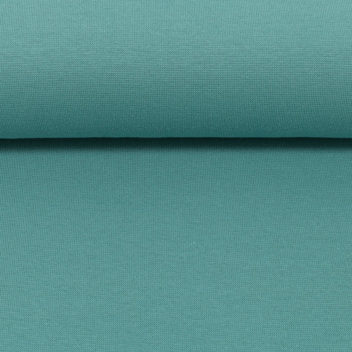 Baumwolljersey vanessa - mint - Stoffmeisterei